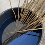 01_Soaking lime branches to build the dome