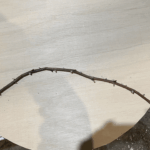 05_Dome shaping 2